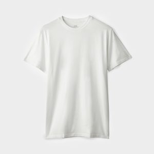 Organic Crew T-shirt - 2 Pack
