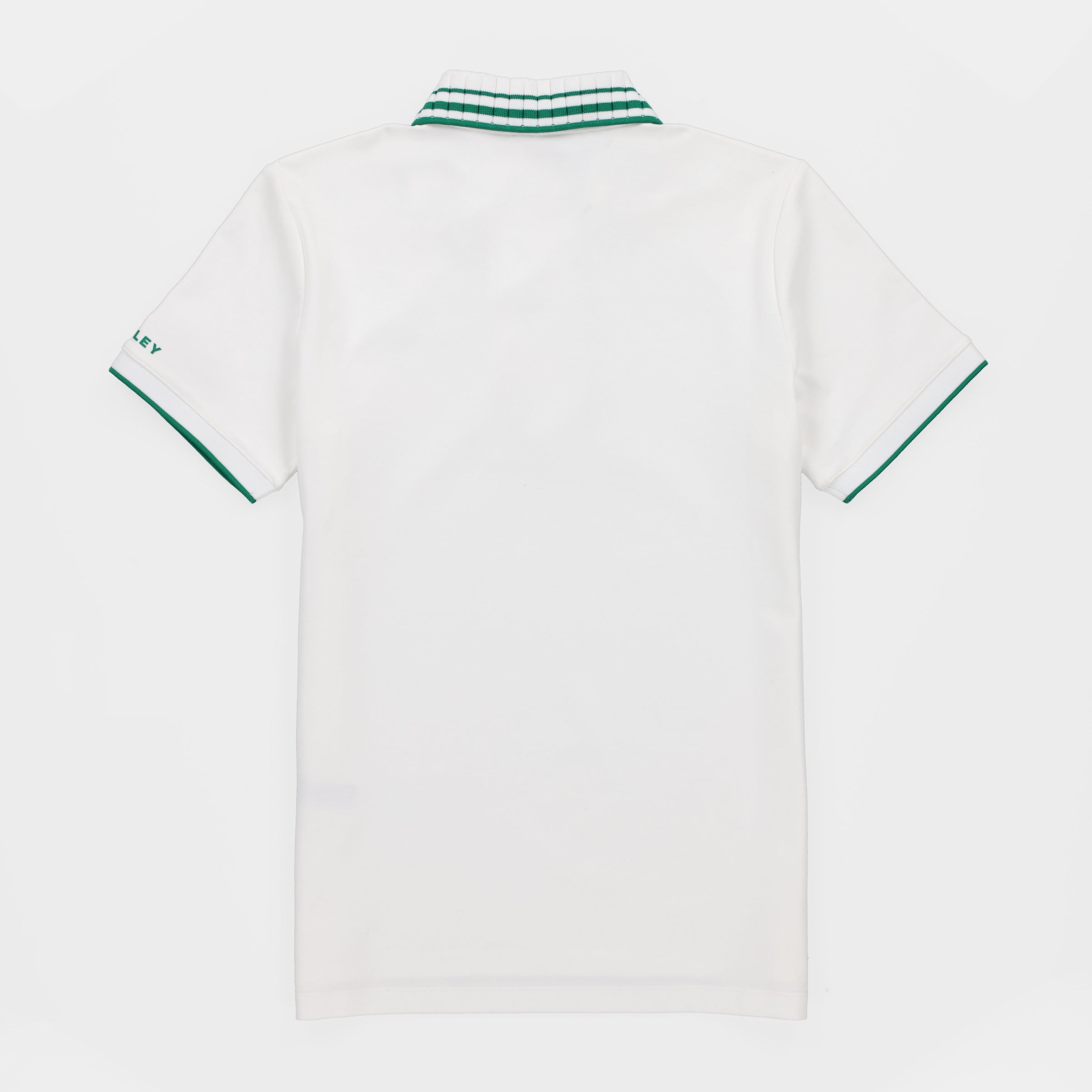 Team Polo - Image 11